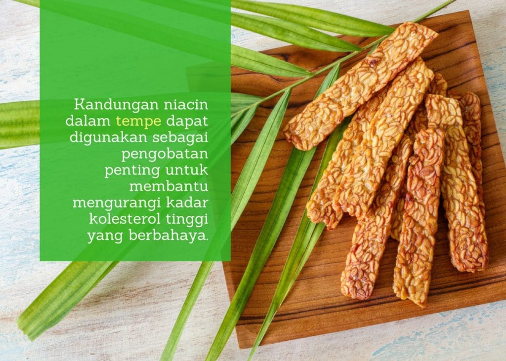 Manfaat Tempe: Makanan Murah Kaya Gizi | Ciputra Medical Center