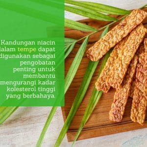 Manfaat Tempe Manfaat Tempe
