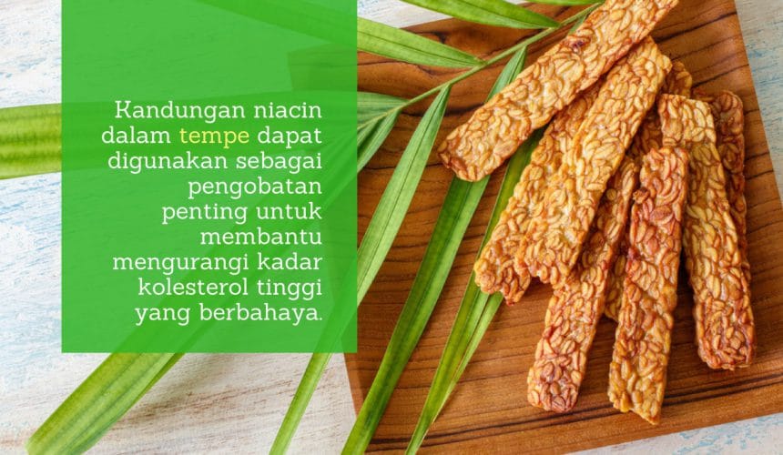 Manfaat Tempe: Makanan Murah Kaya Gizi Manfaat Tempe: Makanan Murah Kaya Gizi