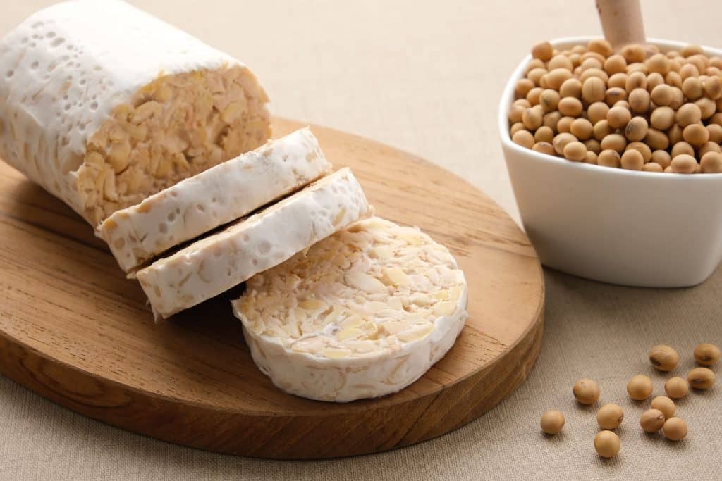 manfaat tempe