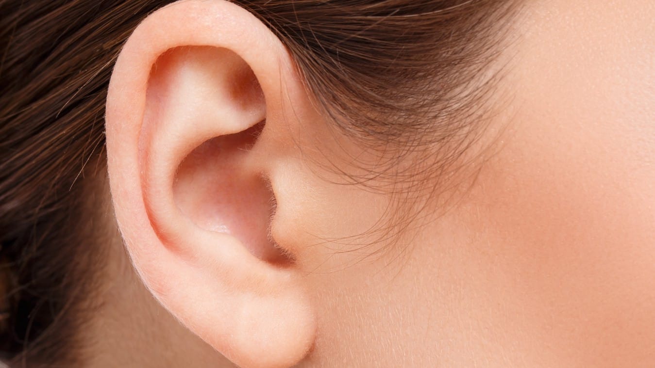 piercing / menindik anggota tubuh