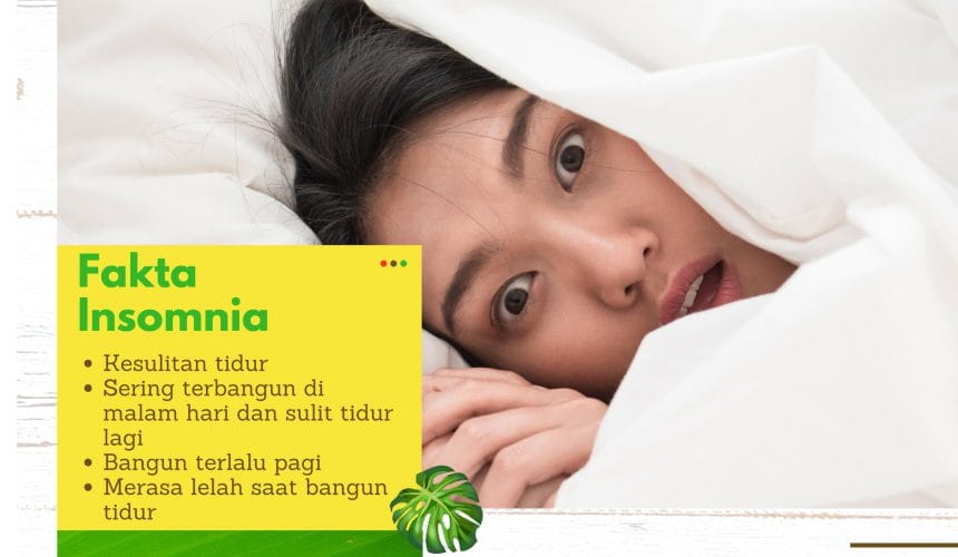 Fakta Insomnia: Penyebab, Gejala, Cara Mengatasi Fakta Insomnia: Penyebab, Gejala, Cara Mengatasi