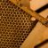 Mengenal Trypophobia Disorder, Fobia pada Bolong-Bolong Mengenal Trypophobia Disorder, Fobia pada Bolong-Bolong